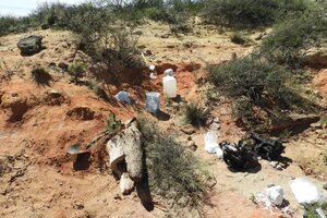 Descubren en Río Negro nuevos restos de dinosaurios de más de 70 millones de años