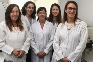 Coronavirus: científicas argentinas identificaron la secuencia genética de 26 cepas