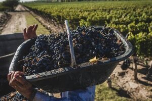 Alberto Fernández presentó el plan estratégico Argentina vitivinícola 2030