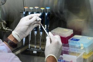 Roberto Salvarezza confirmó que la vacuna argentina contra el coronavirus "puede estar disponible en un año"