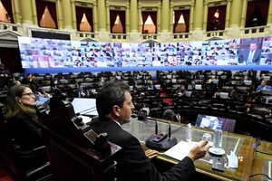 Se desarrolla la primera sesión virtual en Diputados