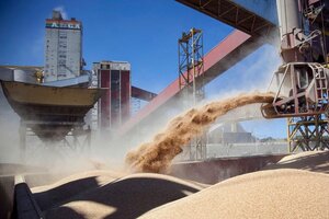 Pablo Paillole, director de Federación Agraria: “Hay que terminar con la evasión de las multinacionales exportadoras”