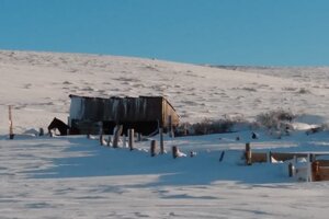 Por las fuertes nevadas,  productores ganaderos siguen aislados y perdieron hasta el 80% de sus animales. Impactante video