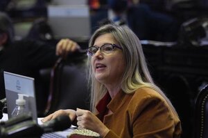 Cristina Álvarez Rodriguez: "El aporte solidario no es contra ningún argentino sino para que todos salgamos adelante"