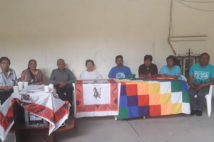 Pueblos originarios reclaman políticas públicas indígenas 