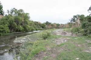 Un informe del CIF confirma la contaminación en el río Arenales  (Fuente: Flor Bustamante Arias)
