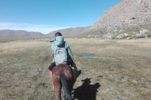 Elecciones en Salta: Hacer campaña a caballo
