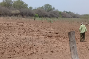 Campesinos responsabilizan al intendente de Morillo por la falta de agua