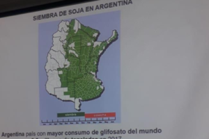 De 2001 a 2018 se detectaron 83 conflictos por agroquímicos en Salta 