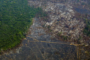 Brasil: record de deforestación en la Amazonia