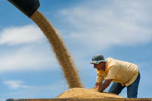 Por eludir retenciones, récord de venta de cosecha antes de que se siembre (Fuente: AFP)