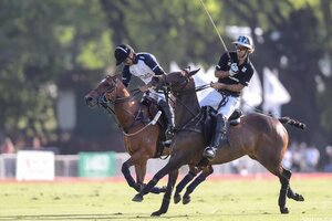Abierto Argentino de Polo: la gran final entre La Dolfina y Ellerstina (Fuente: Matías Callejo/aap)