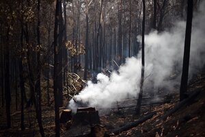 La impactante imagen satelital de los incendios en Australia (Fuente: AFP)