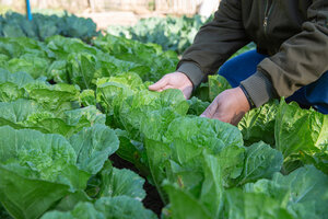 La Agroecología como política de salud pública