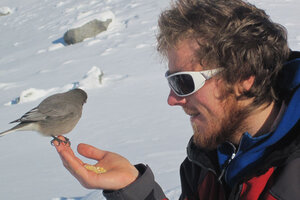 Ian Schwer, un reconocido escalador de Bariloche, murió en una montaña de Perú 
