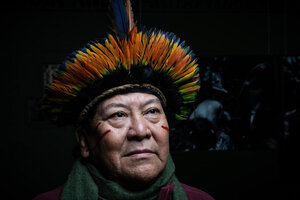 Denuncia urgente a la depredación de  Amazonia (Fuente: AFP)