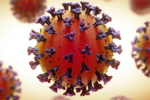 Coronavirus: la OMS recomendó no tomar ibuprofeno (Fuente: NA)