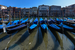 Sorpresa en Venecia: por la cuarentena el agua de los canales se volvió transparente (Fuente: EFE)