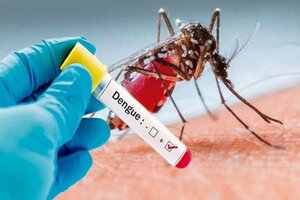 Se confirmaron 605 casos de dengue