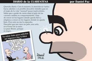 Diario de la cuarentena