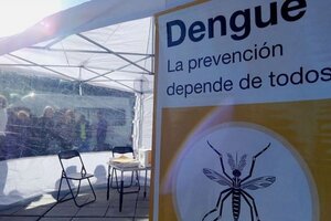 El dengue, la epidemia que crece sin prensa