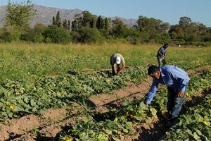 Trabajadores rurales piden que vuelva el pago del intercosecha