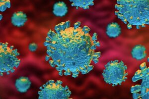 Coronavirus: los curados como estrategia de tratamiento de los enfermos