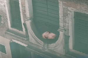 Otra postal de cuarentena: descubrieron medusas en los canales de Venecia 