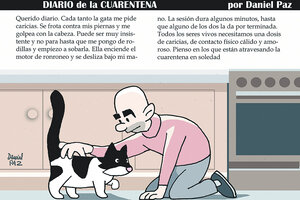 Diario de la cuarentena