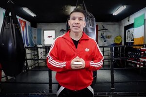 "Maravilla" Martínez enseña boxeo on line