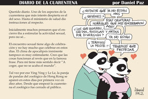 Diario de la cuarentena: el sexo de los pandas