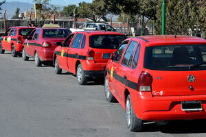 Más de mil taxistas no percibieron ningún ingreso por la cuarentena 