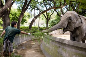 La elefanta Mara, rumbo a su nueva morada (Fuente: Télam)