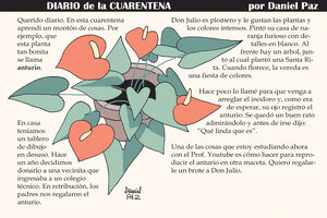 Diario de la cuarentena