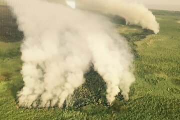 Continúa el fuego en la reserva ecológica de Punta Lara (Fuente: Twitter)