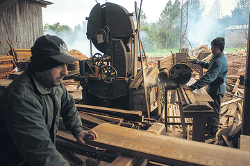Crisis en la industria maderera (Fuente: Adrián Pérez)