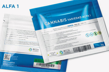 La marihuana se venderá en envases de cinco gramos en los que figuran las advertencias sanitarias y las recomendaciones de uso.