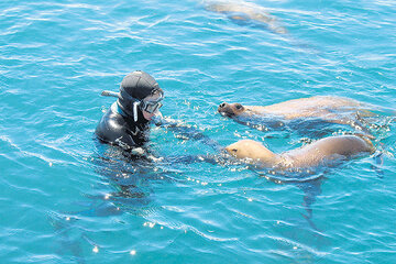 Hombre al agua (Fuente: Abramar)