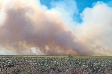 Incendio en Punta Lara