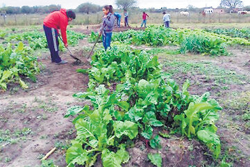 Desamparo a los pequeños productores