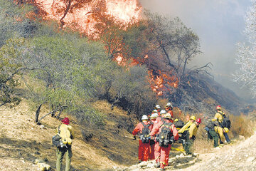 Los equipos de bomberos no logran controlar las llamas.