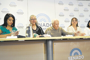 El panel: Victoria Donda, Diana Maffía, Pino Solanas, Magdalena Odarda y Ana Villanueva. (Fuente: Sandra Cartasso)