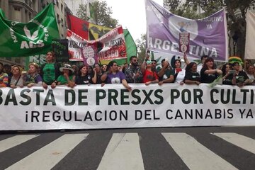 Marcha Mundial por la Marihuana 2019: No es sólo por el faso (Fuente:  Dafne Gentinetta)