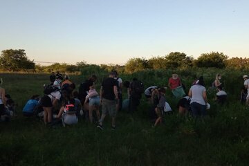 Basural a cielo abierto: encontraron 250 kilos de controles remotos, celulares y pilas en un pulmón verde (Fuente: Francisco Goncalvez)