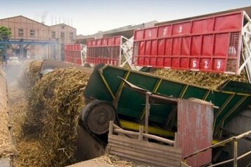 El Ingenio Tabacal culminó su zafra 2020 con resultados esperados