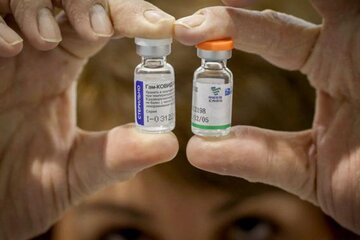 Llegaron a Salta más de 25 mil dosis de la vacuna contra la covid-19