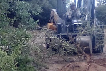 Titular registral desmontó dos hectáreas sin autorización en el Valle Calchaquí