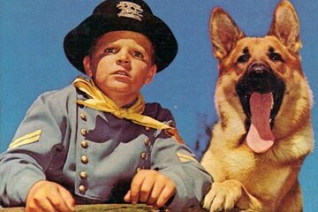 Murió en la indigencia Lee Aaker, la estrella infantil de "Rin Tin Tin"