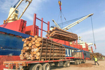 China es un importante comprador de madera argentina