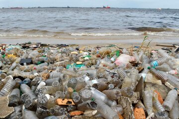 Advierten sobre la creciente amenaza de los desechos plásticos para las especies marinas  (Fuente: AFP)